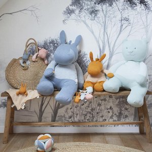 Noukie's, Kids & Baby brand in Belgium