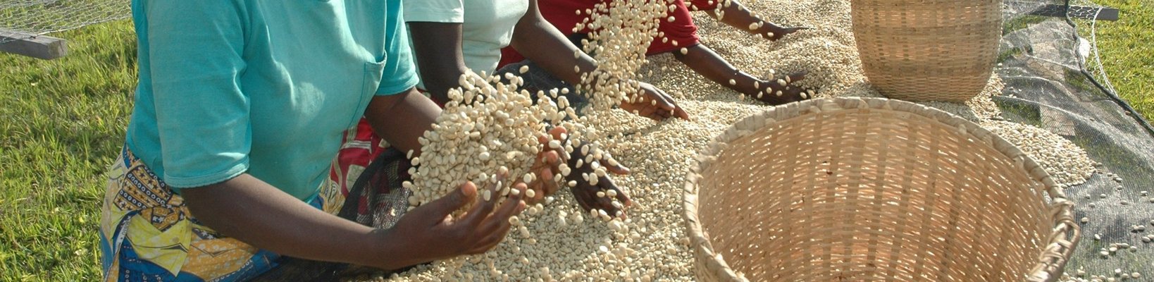 Virunga Coffee