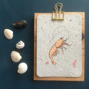 Studio Mabelle, Schreibwaren Marke in Niederlande