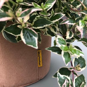 BagYourPlant, Home & Living brand in Netherlands