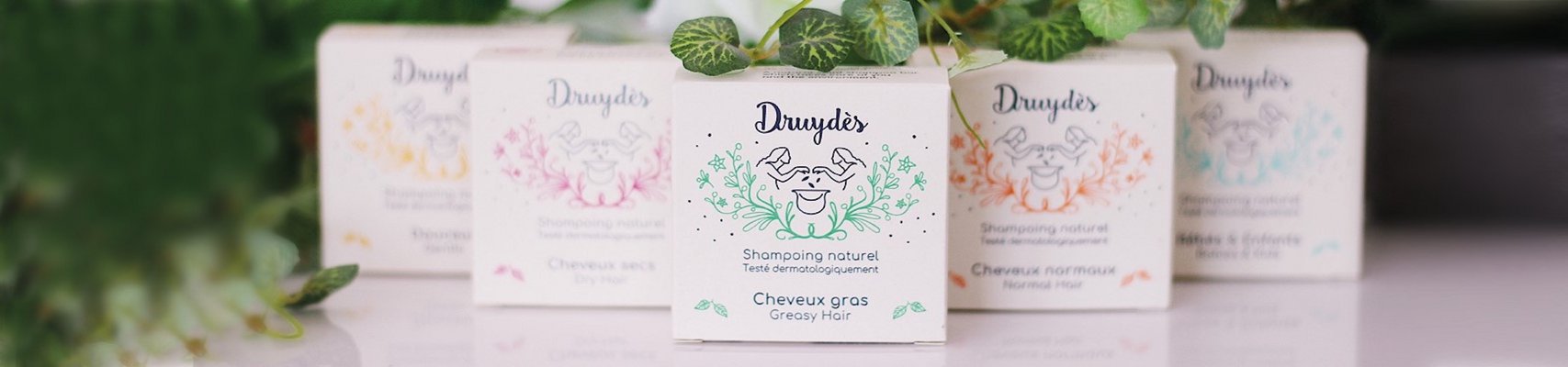 DRUYDES