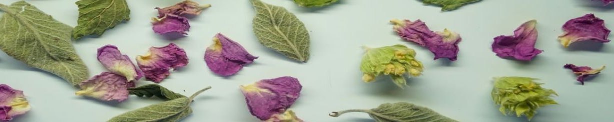 ANTHEA ORGANICS