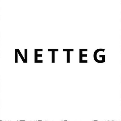 Netteg