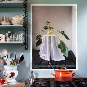 Meet Your Greens - Groenteportretten, Home & Living brand in Netherlands