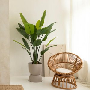 PrettyPlants B.V., Home & Living brand in Netherlands