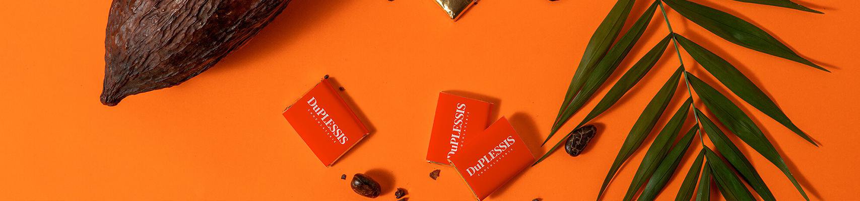 Chocolaterie DuPLESSIS