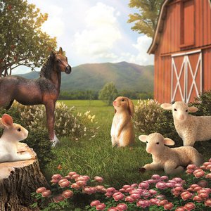 Mojo, Kinder & Babys Marke in Niederlande