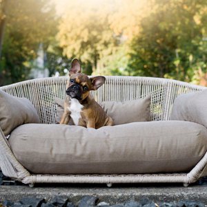 LABONI, Home & Living merk in Duitsland