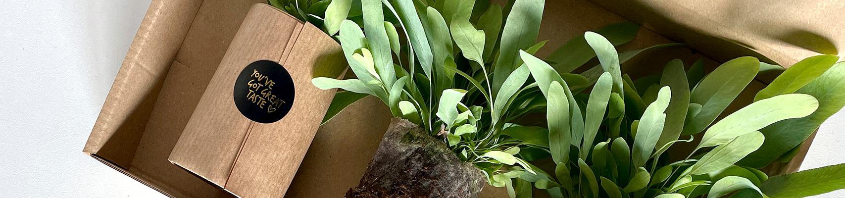 Planttools