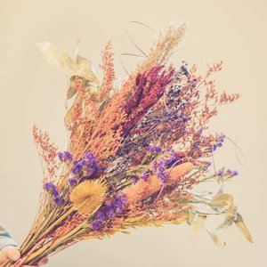 Blommes, Home & Living brand in Belgium