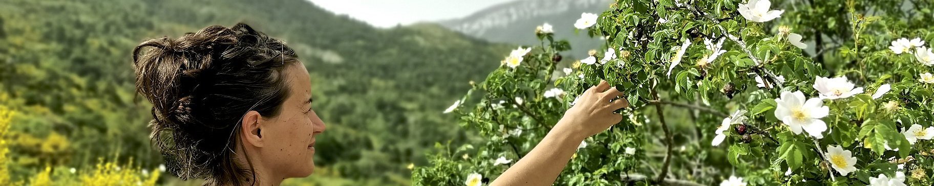 MILEFOLIA