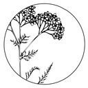 MILEFOLIA