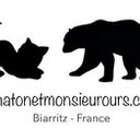 Chaton et Mr Ours