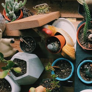 greenava, Home & Living brand in Germany