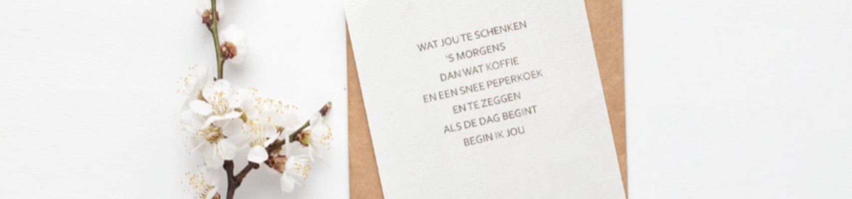 Mus in een Plas