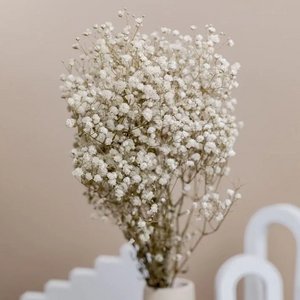 KENTYHOME, Home & Living brand in France