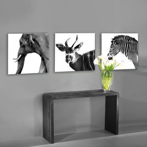 COGNOSCO Fotokunst, Küche & Geschirr Marke in Deutschland