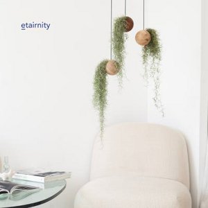Etairnity, Home & Living brand in Netherlands