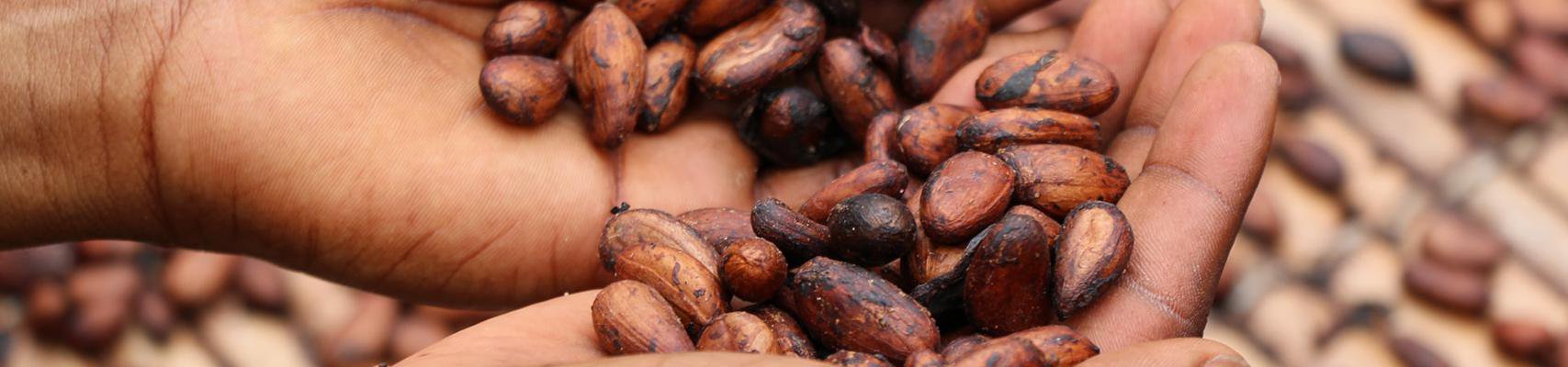 ORGANICA SUPERFOODS
