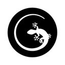 Gecko