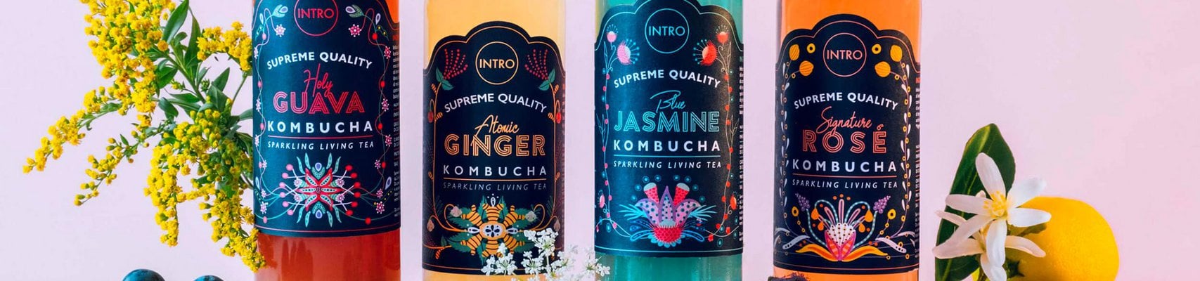 Intro KOMBUCHA