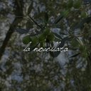 TENUTA LA NOCELLARA DI CIATO MATTIA