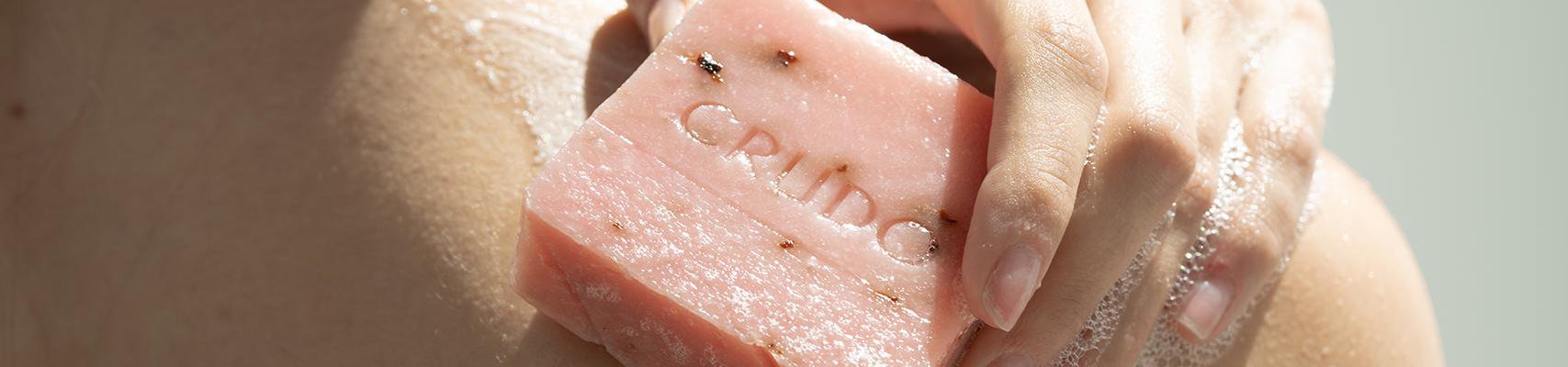 Crudo