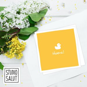 STUDIO SALUT WENSKAARTEN, Schreibwaren Marke in Niederlande