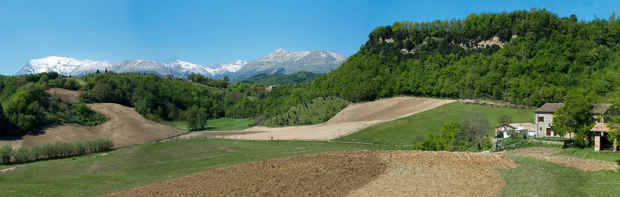 MONTE MONACO