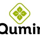 Qumir
