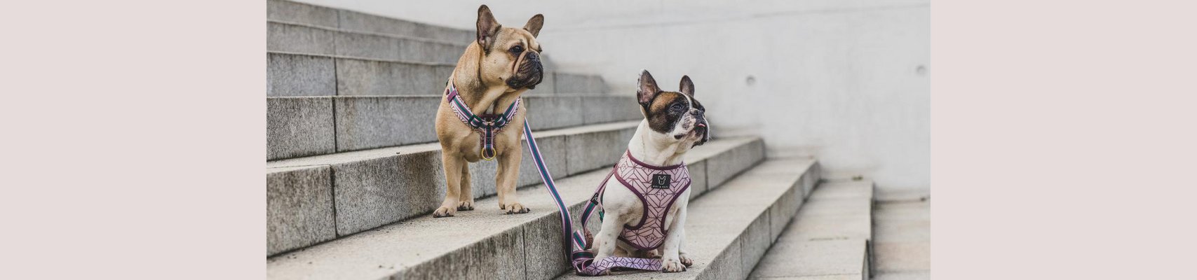Fibi & Karl