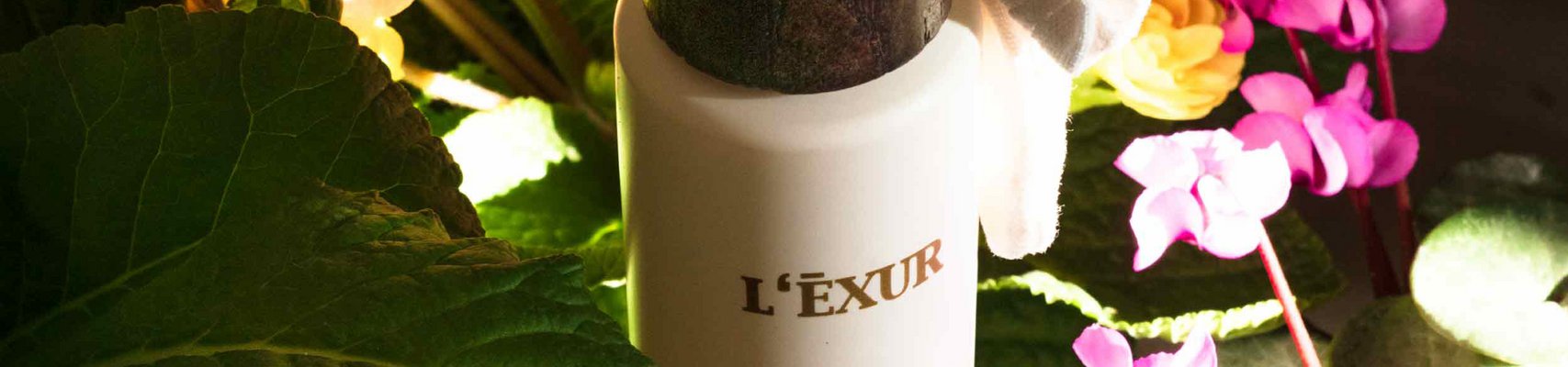 L’ĒXUR Organiques