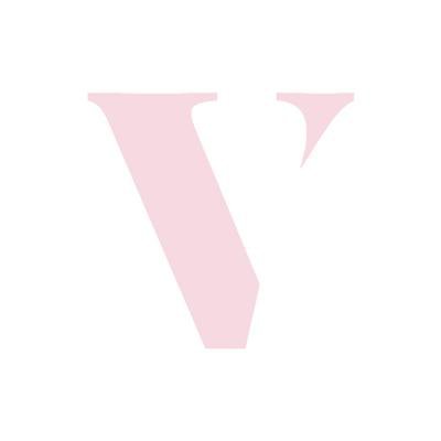VENICEBODY