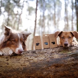 The Sustainable People, Home & Living brand in Germany