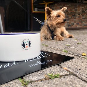 DoggieSnax, Home & Living brand in Spain