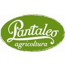PANTALEOAGRICOLTURA SOC AGR SRL