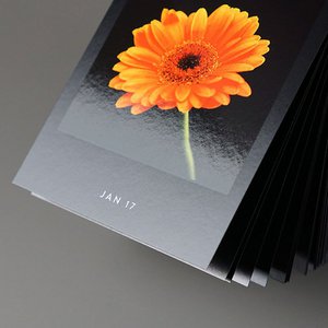 Seltmann Publishers GmbH, Stationery brand in Germany