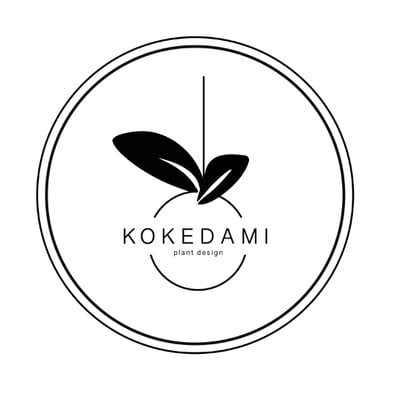 Kokedami Plants