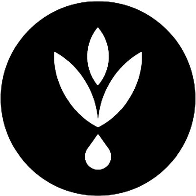 LADOLEA OLIVE OIL