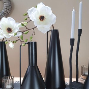 Willeke-Floristik, Home & Living brand in Germany