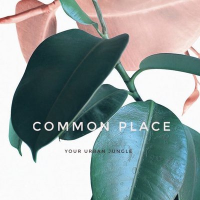 Common Place