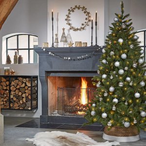 Triumph Tree, Home & Living brand in Netherlands