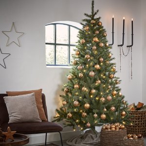 Black Box Trees, Home & Living brand in Netherlands