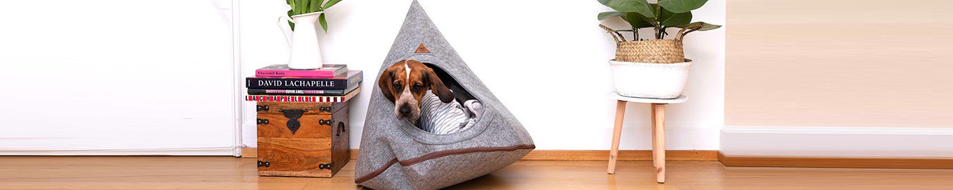 PET & Co.