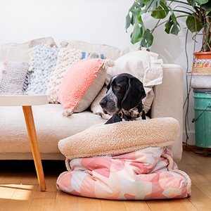 PET & Co., Home & Living brand in Germany