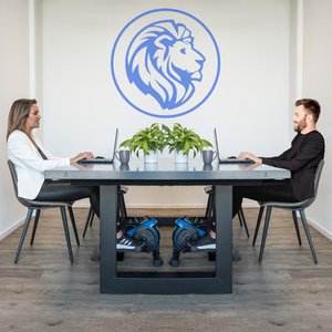 Blue Lion Lifestyle, Home & Living brand in Netherlands