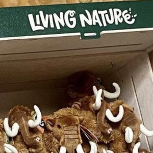 Living Nature, Kids & Baby merk in Nederland