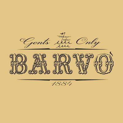 barvo' srls