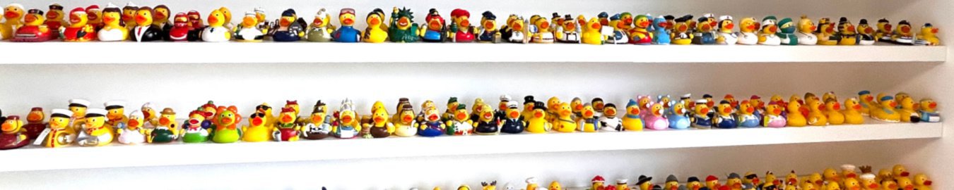 Duckshop