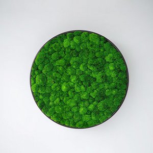 Greenmood, Haus & Wohnen Marke in Belgien